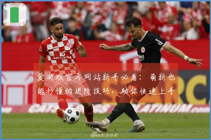 爱游戏官方网站新手必看：萌新也能秒懂的进阶技巧，助你快速上手！