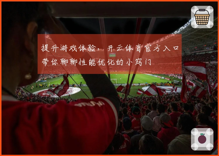 提升游戏体验，开云体育官方入口带你聊聊性能优化的小窍门