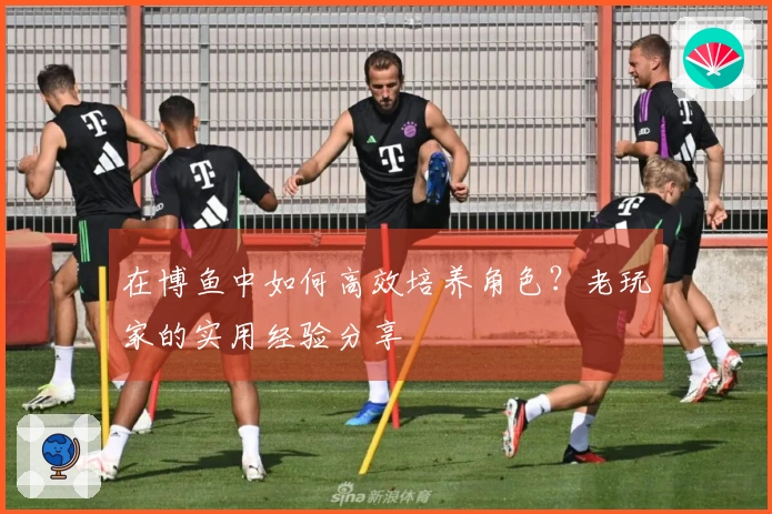 在博鱼中如何高效培养角色？老玩家的实用经验分享