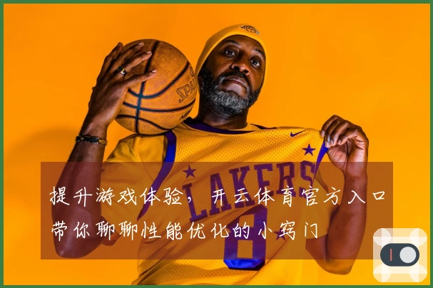 提升游戏体验，开云体育官方入口带你聊聊性能优化的小窍门